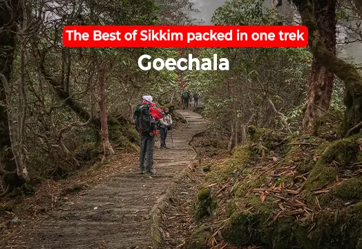 Goechala Trek - Trekking in Sikkim with Trek The Himalayas